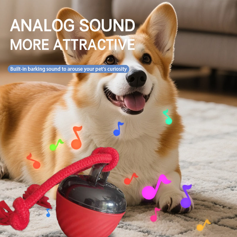 Cat/Dog Teasing Ball Bouncer