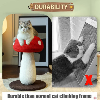 Large Mushroom Scratch Post