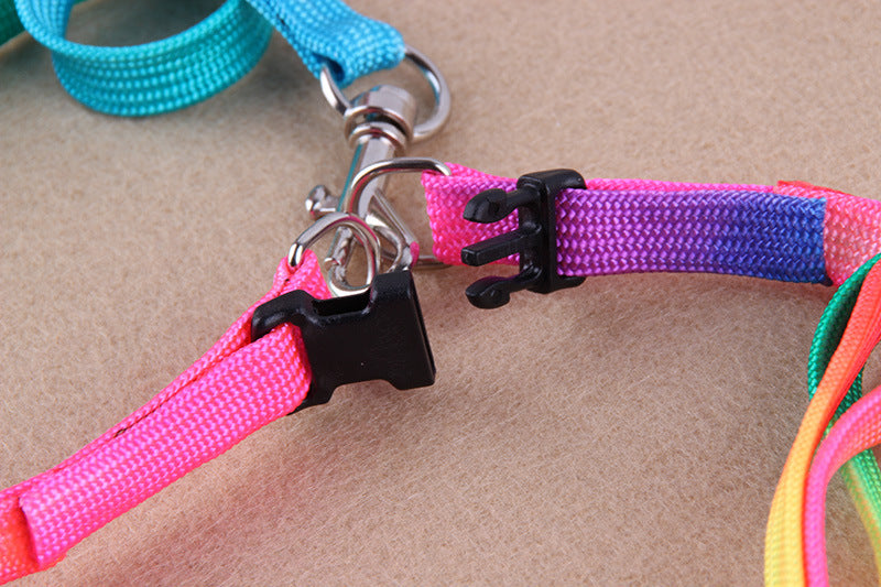 Rainbow Leash and Chest Strap