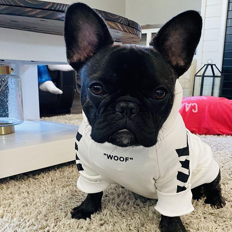 Shadow Pet Hoodie 🐾
