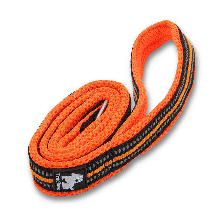 Bright Colours Thick Leash