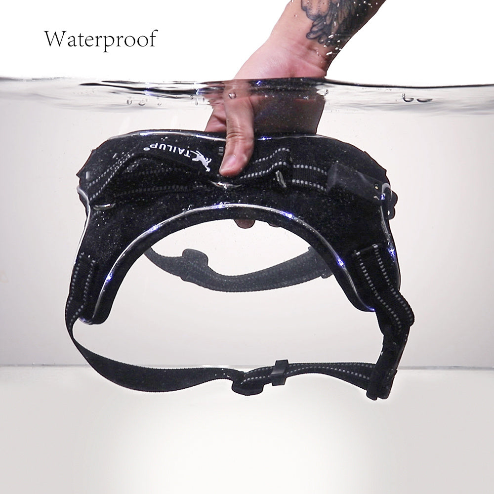 LED & Reflective Harness