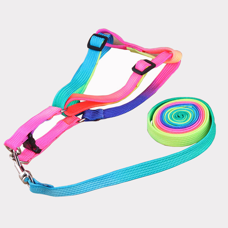 Rainbow Leash and Chest Strap