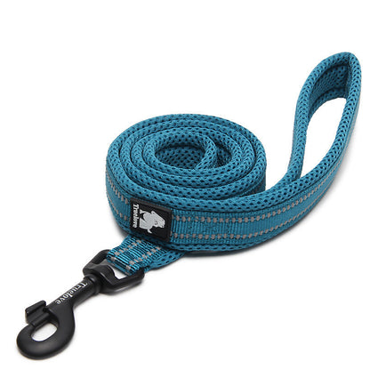 Bright Colours Thick Leash