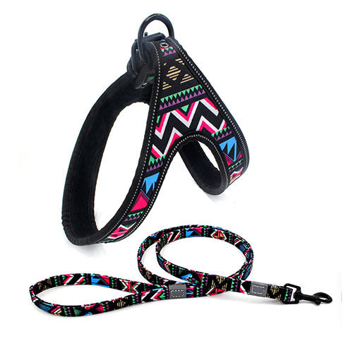 Colorful Dog Leash Set