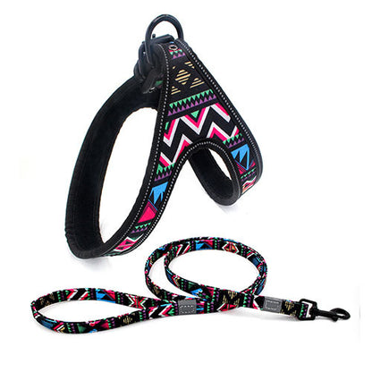 Colorful Dog Leash Set