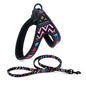 Colorful Dog Leash Set