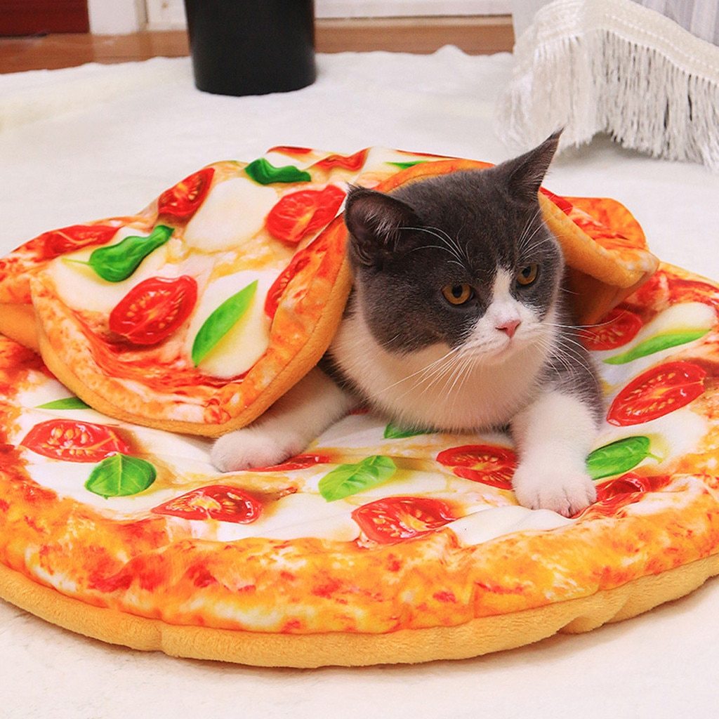 Pet Foodie Blankets Pizza 🍕Avocado 🥑 Egg 🍳 Toast 🍞