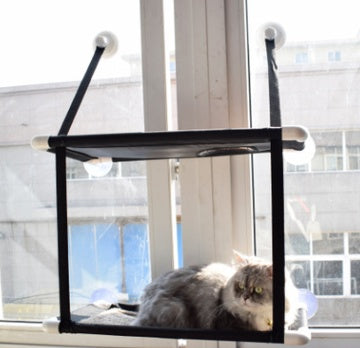 Cat Window Hammock