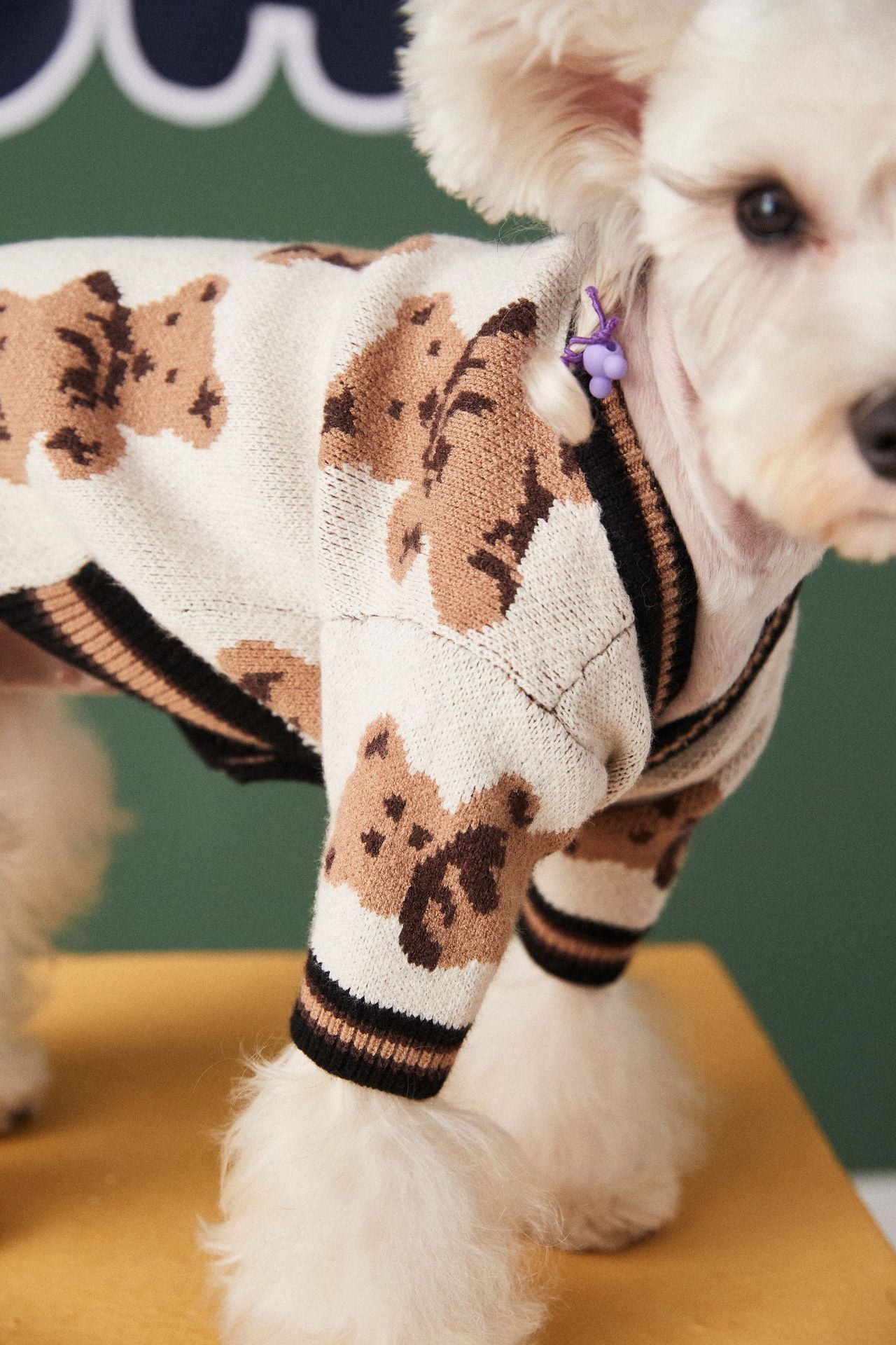 Preppy Style V-neck Puppy Vest