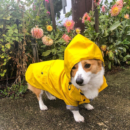 Fisherman Fred Dog RainCoat
