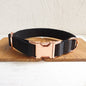 Luxe Black Dog Collar 🐾