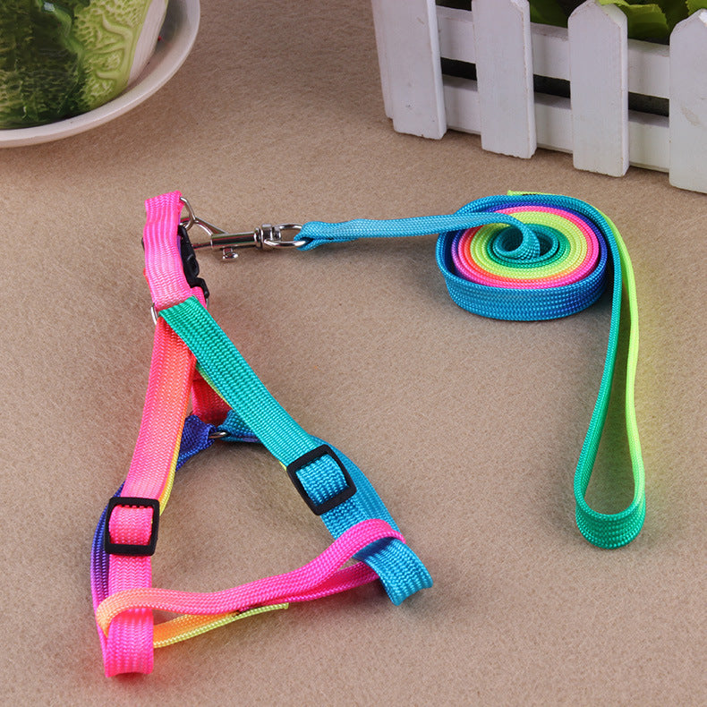 Rainbow Leash and Chest Strap
