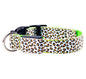 LED Cheetah Collar