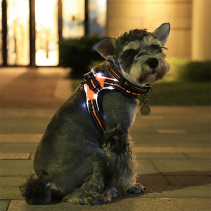 LED & Reflective Harness
