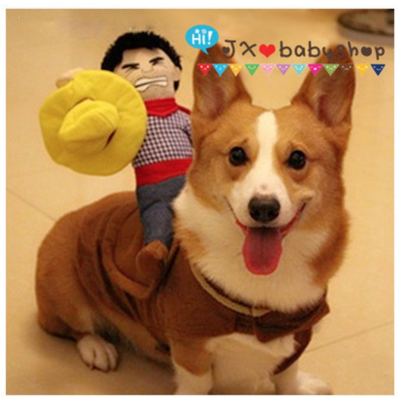 Cowboy Rider Pet Costume