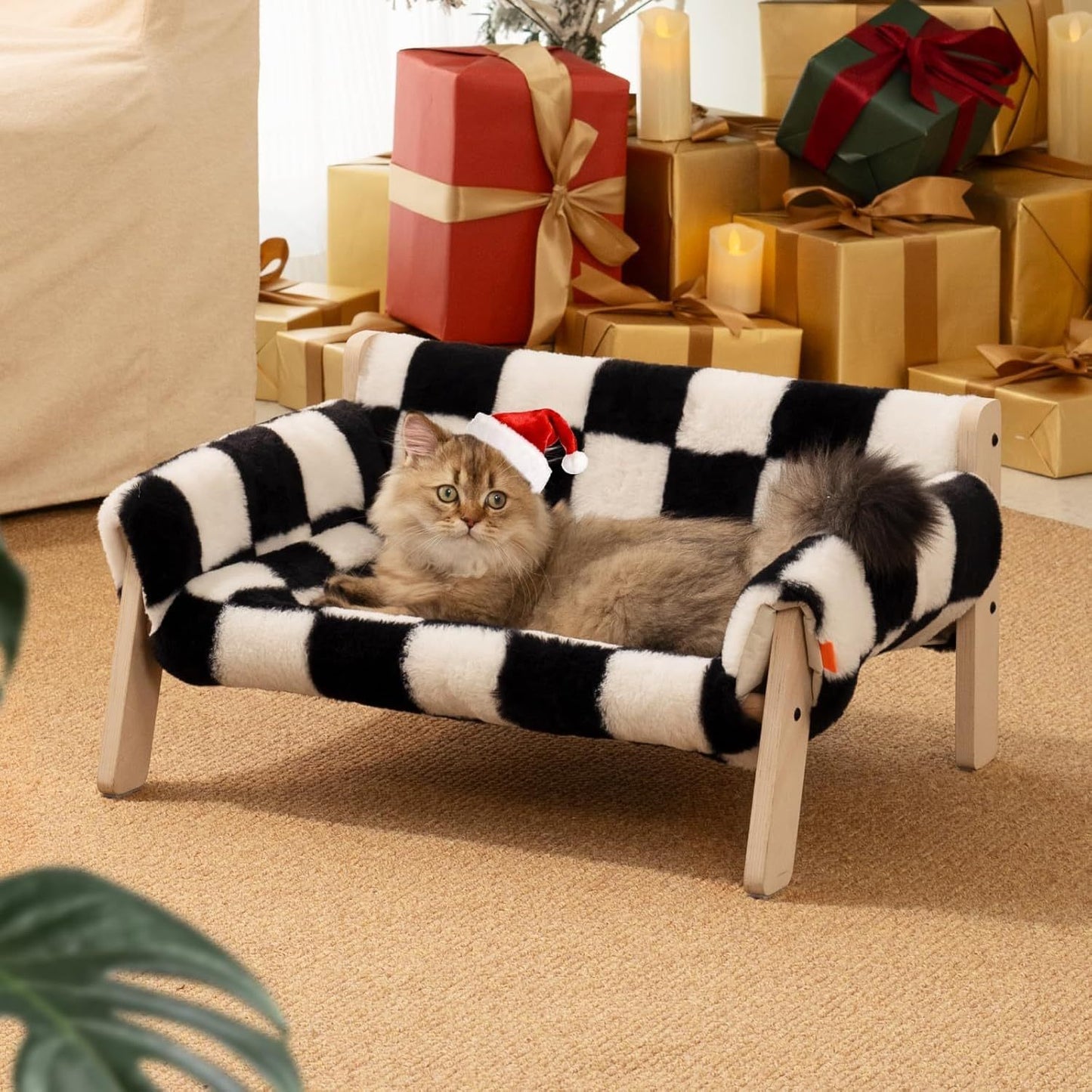Cool Cat Checkered Couch 🐈‍⬛