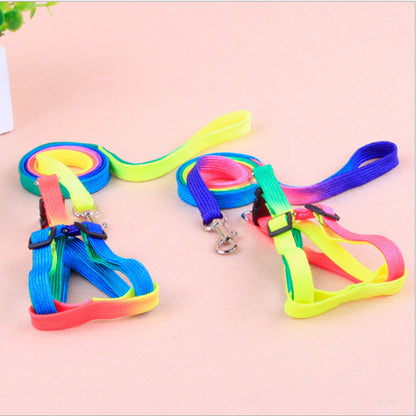 Rainbow Leash and Chest Strap