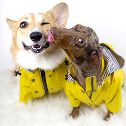 Fisherman Fred Dog RainCoat