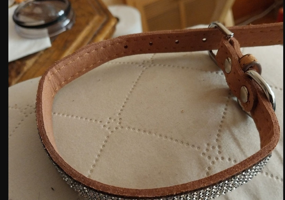 Shiny Rhinestone Collar