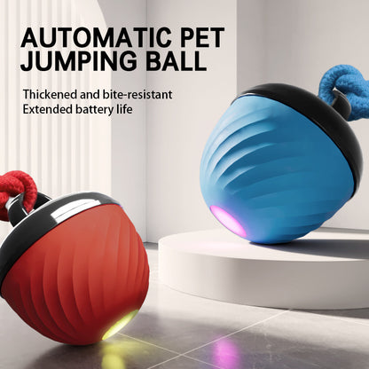 Cat/Dog Teasing Ball Bouncer