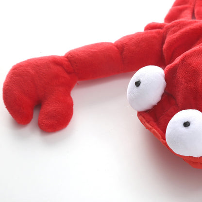 Lobster Pet Costume 🦞