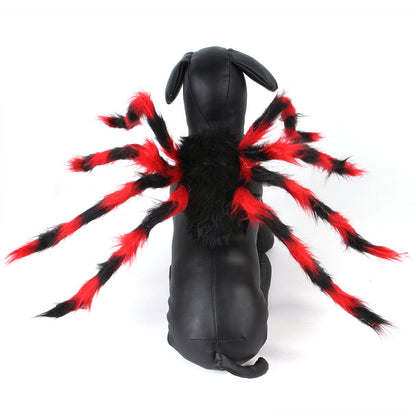 Pet Halloween Spider 🕷
