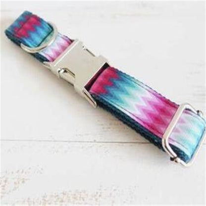 Urban Hound Collar Set