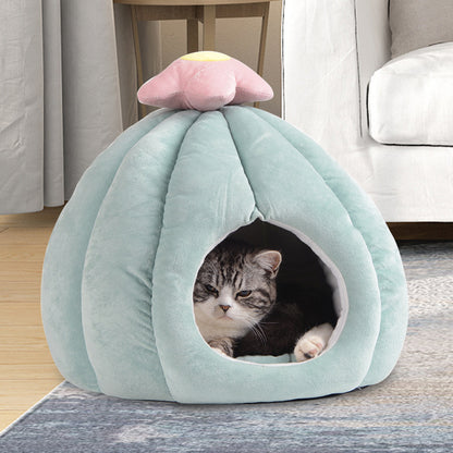 Cactus Cat Cave & Bed