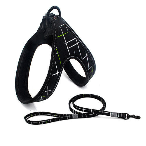 Colorful Dog Leash Set