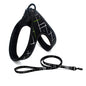 Colorful Dog Leash Set