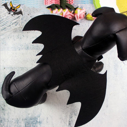 Halloween Costume Pet Bat and Spider
