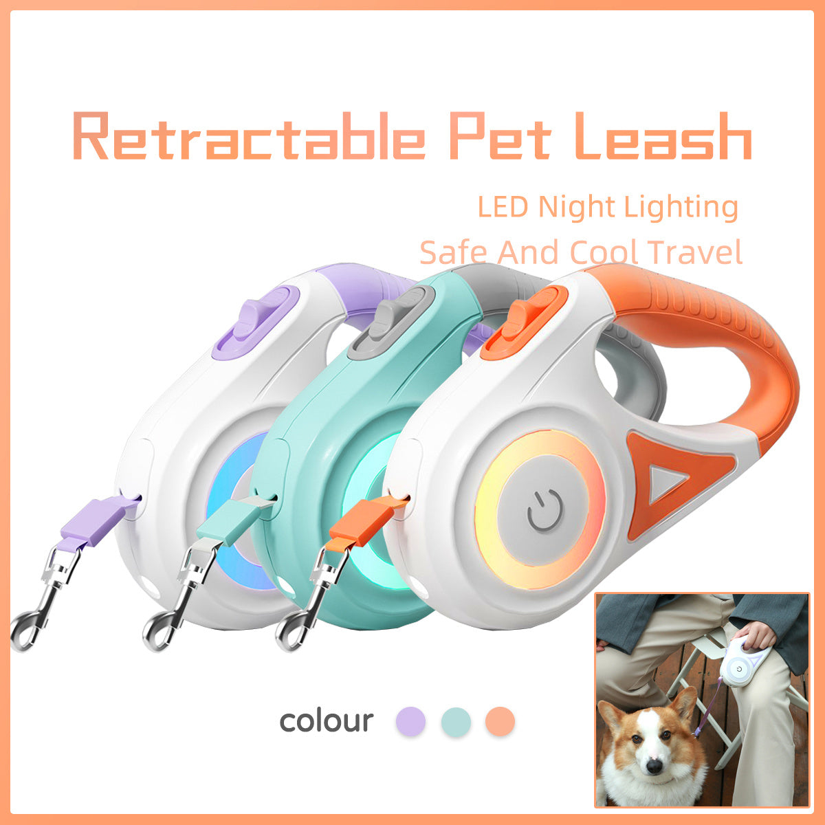 Retractable Leash And Dog Collar Spotlight traction
