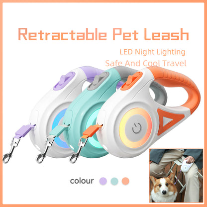 Retractable Leash And Dog Collar Spotlight traction