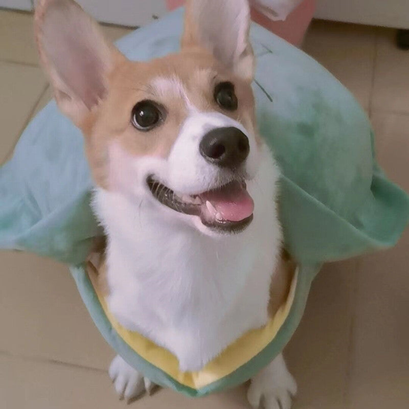Turtle Shell Pet Vest Funny Costume