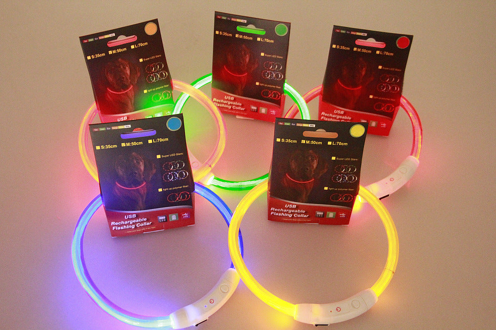 Pet Flashing Glow Collar USB Rechargeable