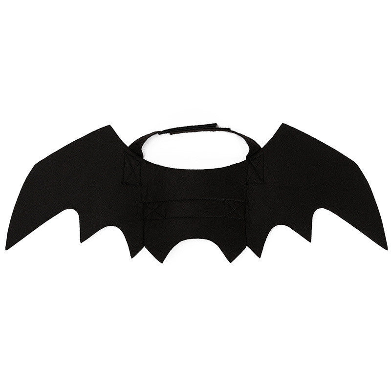 Halloween Costume Pet Bat and Spider