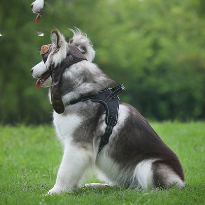Winter Autumn New Pet Hat