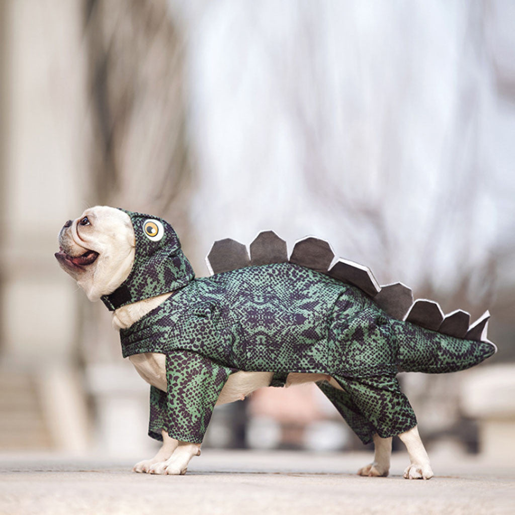 Pet Dinosaur Costume