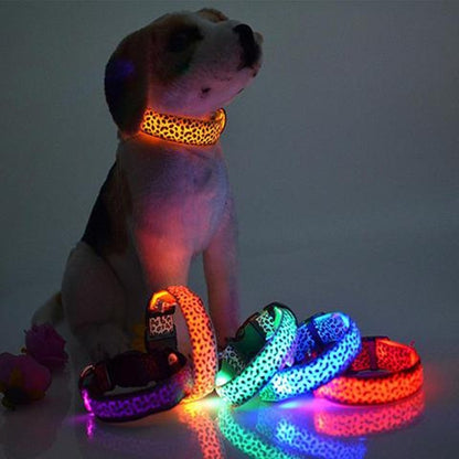 LED Cheetah Collar