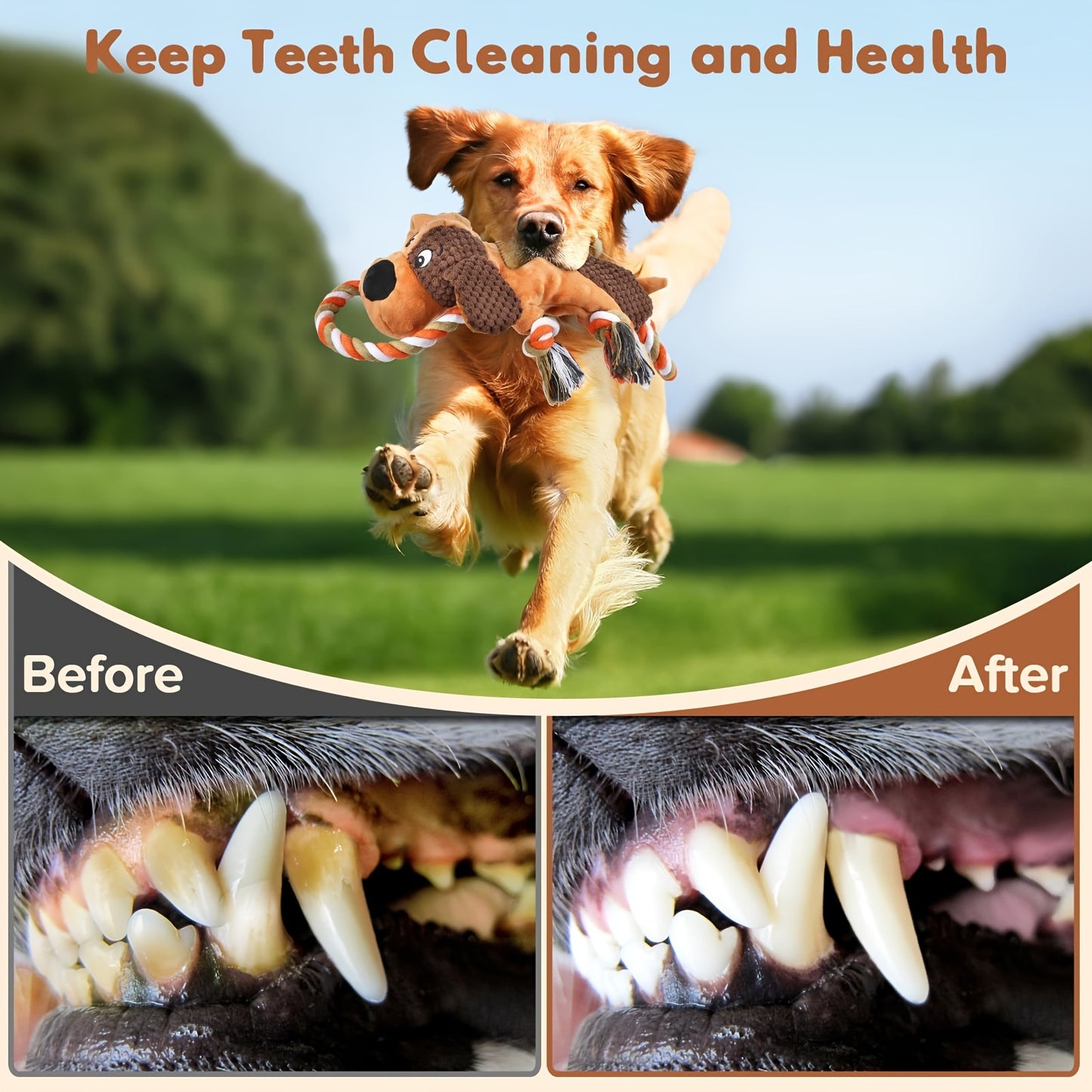 Multi Fun Plush Rope Toy