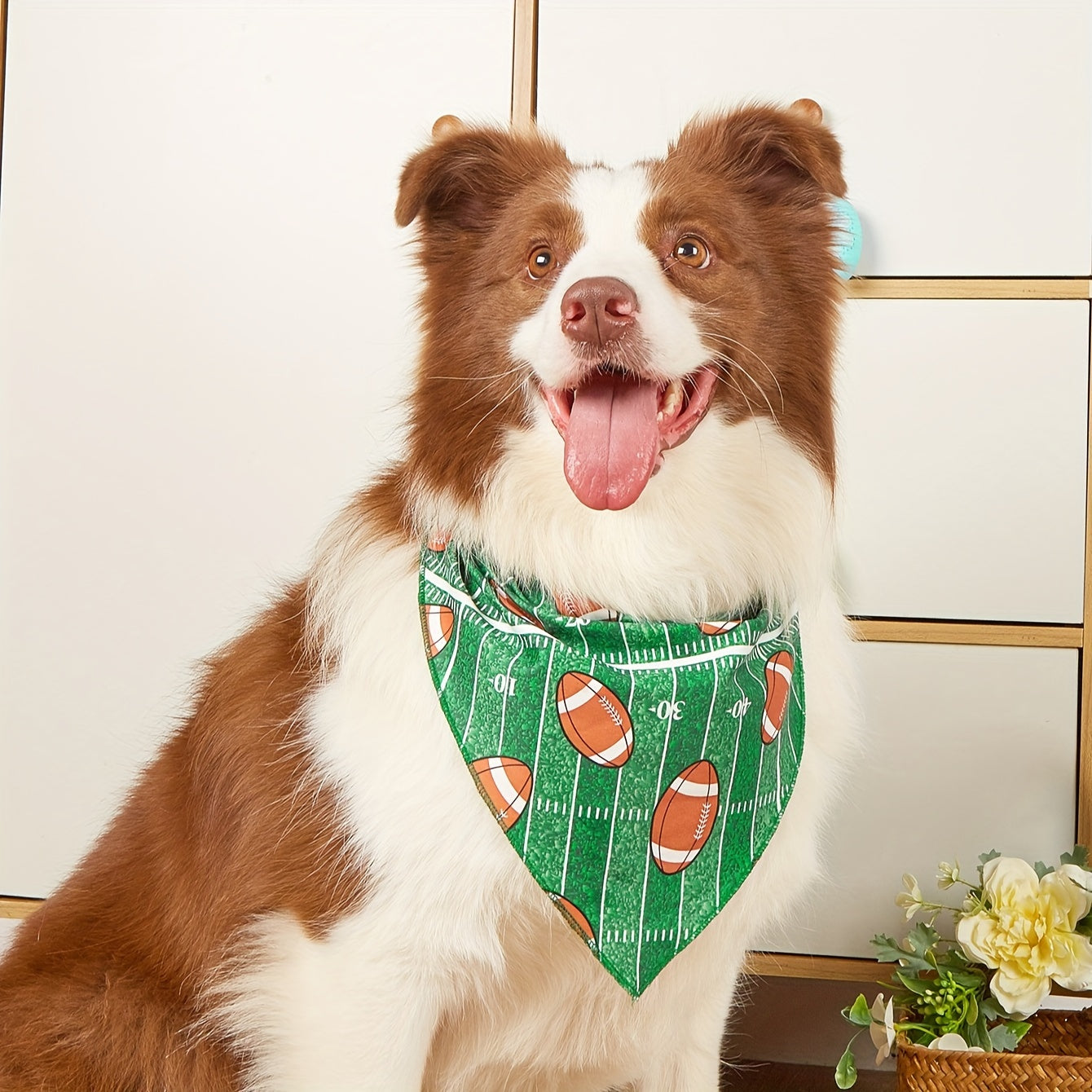 Football Dog Bandana