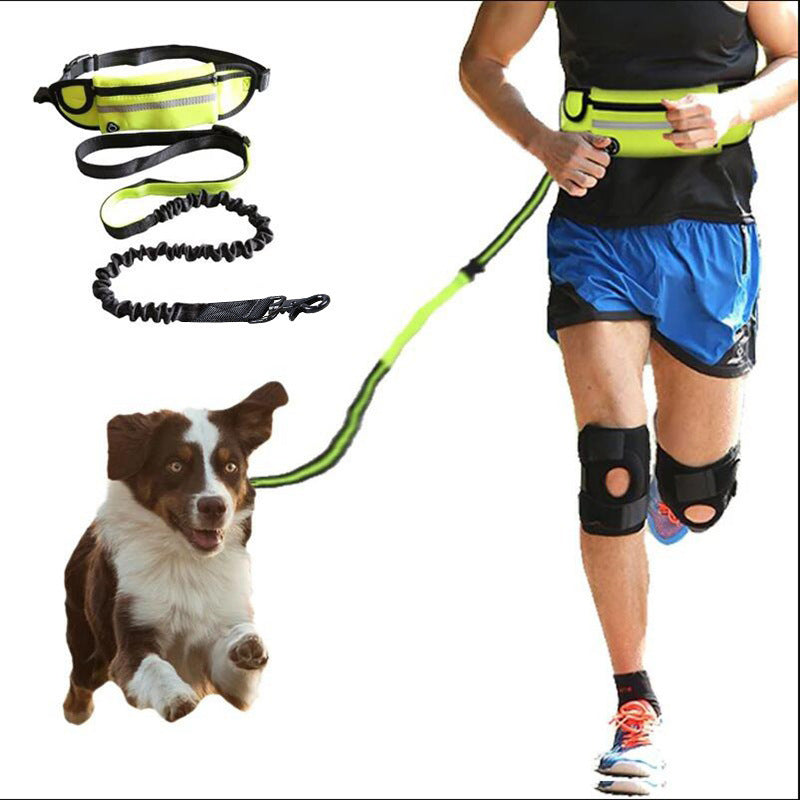 Hands Free Dog Leash and Fanny Pack
