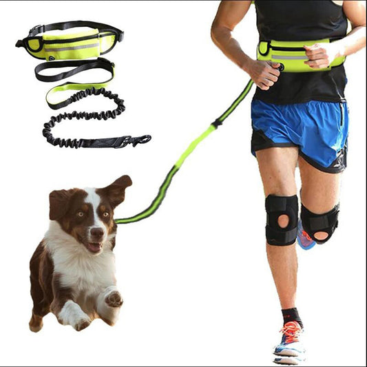 Hands Free Dog Leash and Fanny Pack