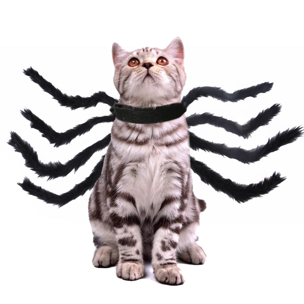 Pet Halloween Spider 🕷
