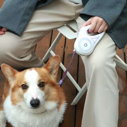 Retractable Leash And Dog Collar Spotlight traction