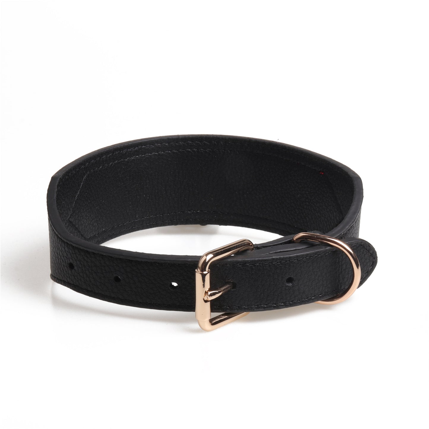 Fashion Dog Collar