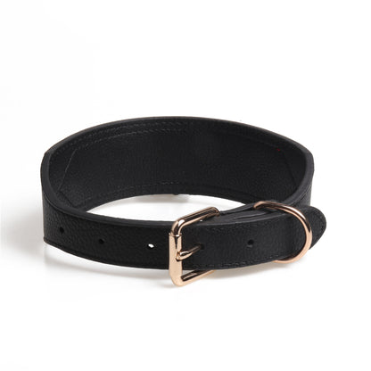 Fashion Dog Collar