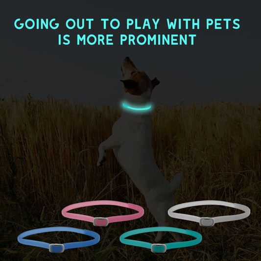 Pets Luminous Insect Repellent Dog Collar