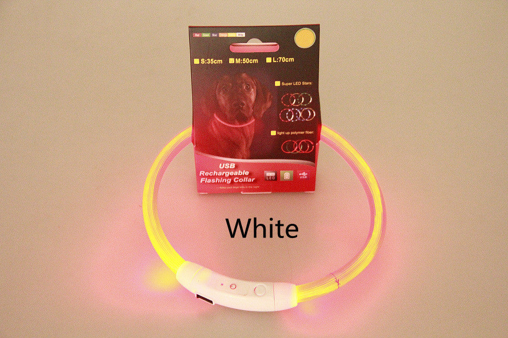 Pet Flashing Glow Collar USB Rechargeable